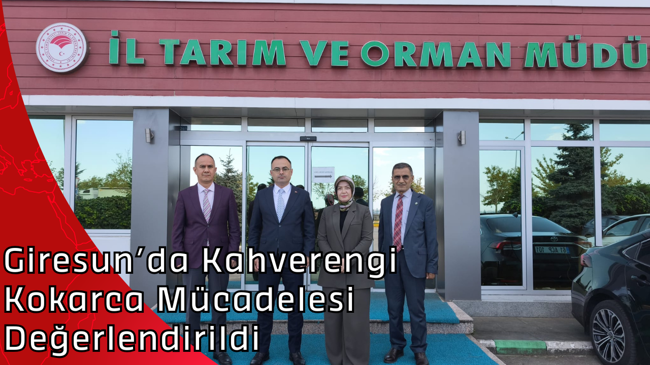 Giresun’da Kahverengi Kokarca Mücadelesi Değerlendirildi