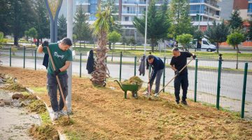 BELEDİYENİN YÜRÜTTÜĞÜ SAHA ÇALIŞMALARI HIZ KAZANDI