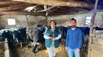 GİRESUN HAYVANCILIĞINA BÜYÜK DESTEK: İTHAL ANGUS IRKI GEBE DÜVELER TESLİM EDİLDİGİRESUN HAYVANCILIĞINA BÜYÜK DESTEK: İTHAL ANGUS IRKI GEBE DÜVELER TESLİM EDİLDİ