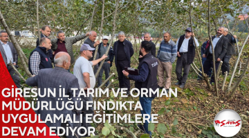 GİRESUN İL TARIM VE ORMAN MÜDÜRLÜĞÜ FINDIKTA UYGULAMALI EĞİTİMLERE DEVAM EDİYOR