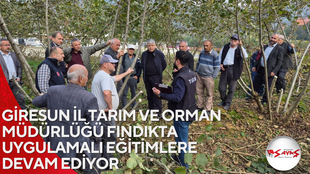 GİRESUN İL TARIM VE ORMAN MÜDÜRLÜĞÜ FINDIKTA UYGULAMALI EĞİTİMLERE DEVAM EDİYOR