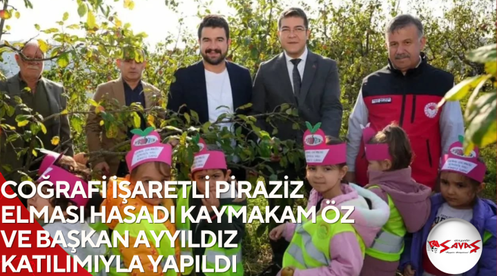 COĞRAFİ İŞARETLİ PİRAZİZ ELMASI HASADI KAYMAKAM ÖZ VE BAŞKAN AYYILDIZ KATILIMIYLA YAPILDI
