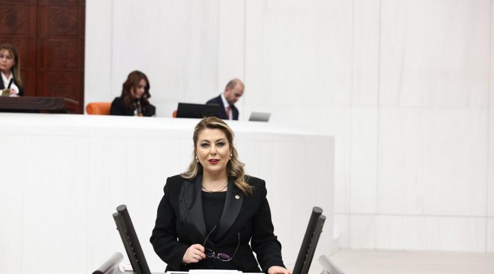 Milletvekili Işık Gezmiş “Aile Yılı denilen bu yılda bile bu bütçe; yoksulluğu, çaresizliği, şiddeti önlemiyor” dedi ve ekledi: