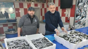 BALIKTA FİYAT ŞOKU!    HAMSİ DE İSTAVRİT DE 150 TL