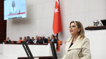 CHP Milletvekili Elvan Işık Gezmiş, ulaşım projelerinden fındık fiyatına, çevre tahribatından kapanan fabrikalara dek sorunları sıraladı ve çözüm istedi