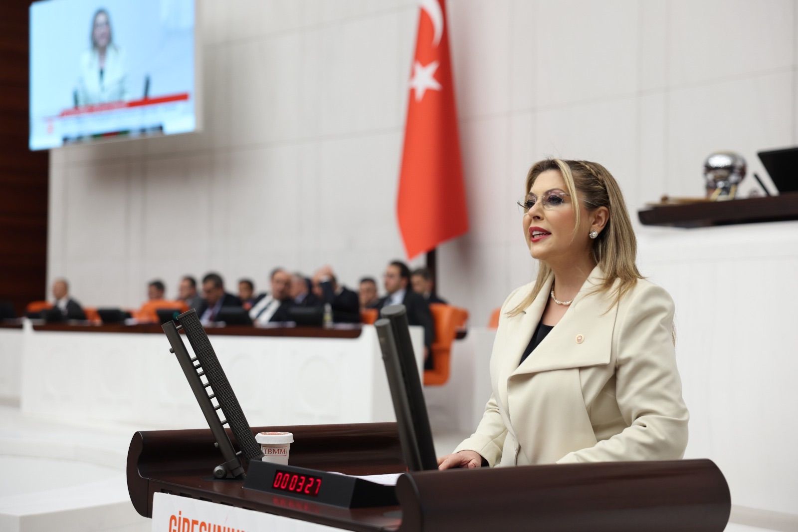 CHP Milletvekili Elvan Işık Gezmiş, ulaşım projelerinden fındık fiyatına, çevre tahribatından kapanan fabrikalara dek sorunları sıraladı ve çözüm istedi