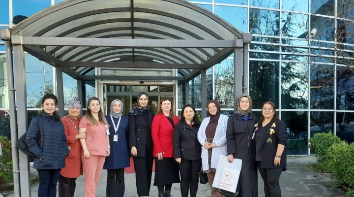 GİRESUN HASTANELERİNDE BEBEK DOSTU DEĞERLENDİRMESİ: ANNE SÜTÜ TEŞVİK PROGRAMI KAPSAMINDA ZİYARETLER YAPILDI