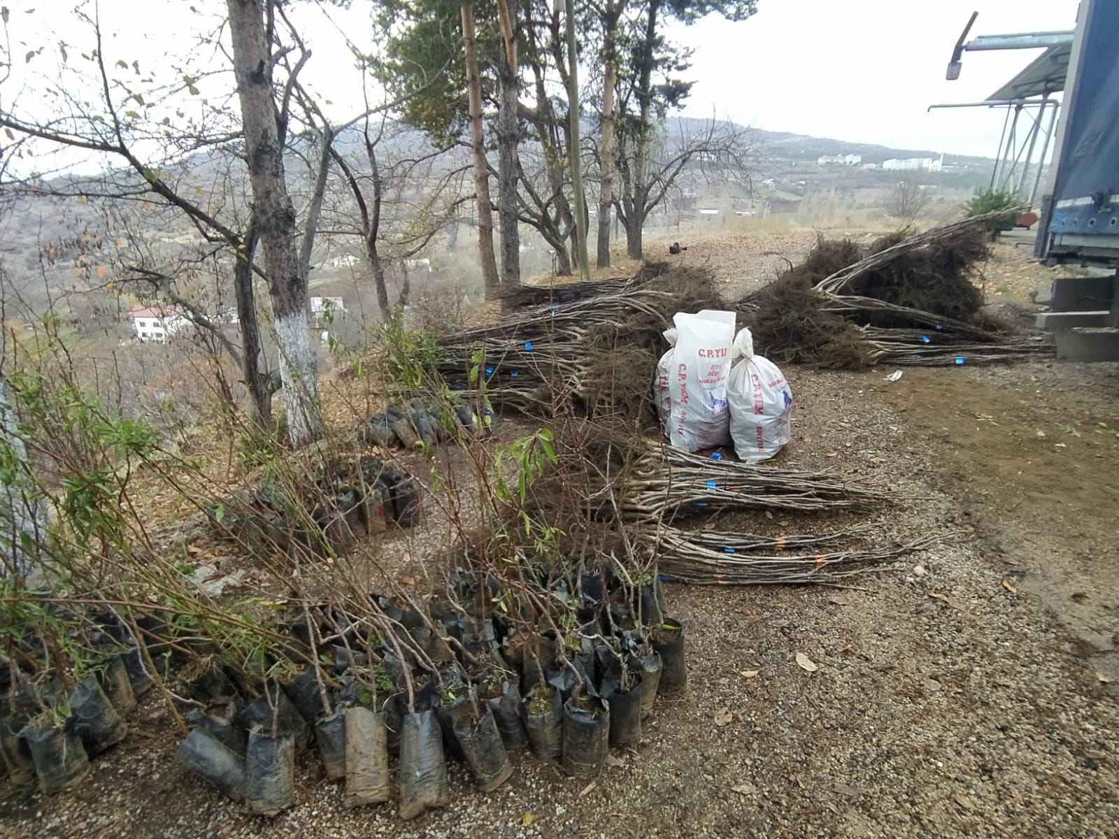 GİRESUN’DA KABUKLU MEYVE YETİŞTİRİCİLİĞİNİN GELİŞTİRİLMESİ PROJESİ UYGULANIYOR