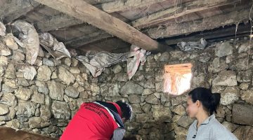 GİRESUN’DA ŞAP AŞILAMA KAMPANYASI BAŞARIYLA TAMAMLANDI: 118 BİN BÜYÜKBAŞ KORUMA ALTINDA