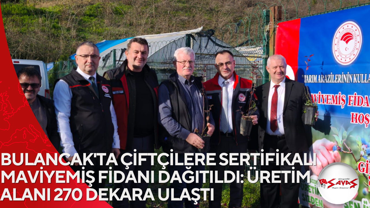 BULANCAK’TA ÇİFTÇİLERE SERTİFİKALI MAVİYEMİŞ FİDANI DAĞITILDI: ÜRETİM ALANI 270 DEKARA ULAŞTI