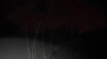 ŞİDDETLİ YAĞIŞ TİREBOLU’DA KAZAYA NEDEN OLDU: OTOMOBİL UÇURUMA YUVARLANDI, 4 YARALI