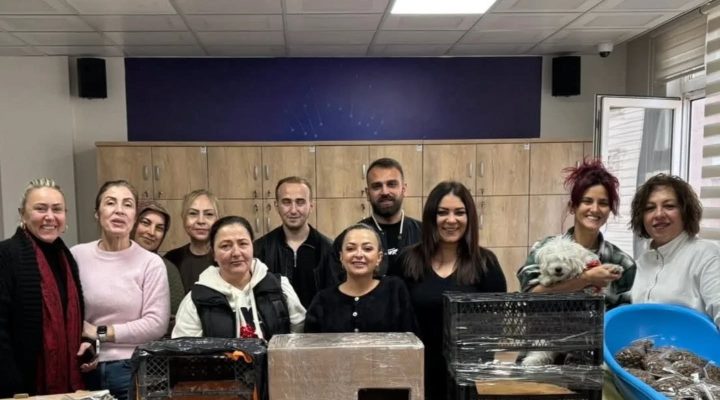 MİNİK PATİLERE SICACIK YUVALAR: GİRESUN’DA ‘KEDİ EVİ TASARIMI’ ETKİNLİĞİ