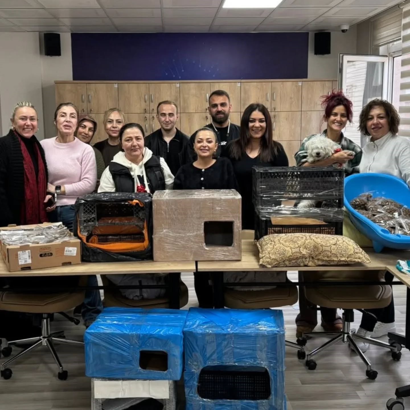 MİNİK PATİLERE SICACIK YUVALAR: GİRESUN’DA ‘KEDİ EVİ TASARIMI’ ETKİNLİĞİ