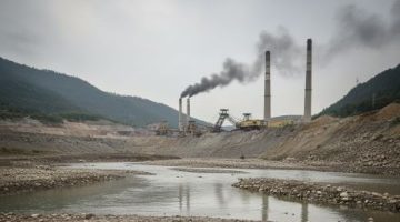HARŞİT ÇAYI’NDA BALIK KATLİAMI: “OKSİJEN” YALANIYLA GERÇEKLERİN ÜSTÜ ÖRTÜLEMEZ!