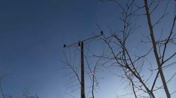 ÇORUH EDAŞ, GİRESUN’DA KESİNTİSİZ ENERJİ İÇİN YOĞUN KAR YAĞIŞINDA SAHADA