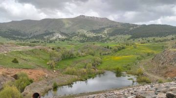 Haşhaş Göleti ve Alucra Yolları Yatırımı Bekliyor