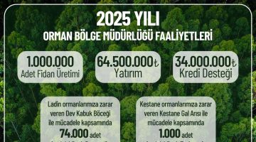 Giresun’da 2025 Yılında Tarım ve Ormana Dev Yatırım: 1 Milyar TL’yi Aşkın Destek