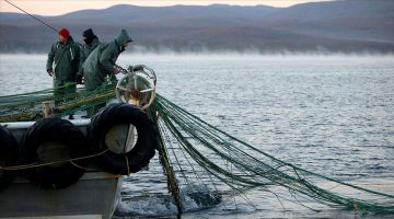 BALIKÇILARA MÜJDE: KÜÇÜK ÖLÇEKLİ BALIKÇILIK DESTEKLEME BAŞVURULARI BAŞLADI