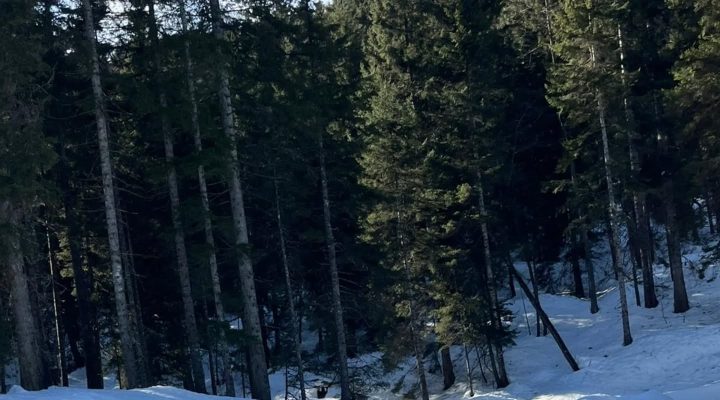 GİDOSK’TAN HAFTA SONUNA ÇİFTE ETKİNLİK