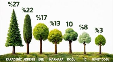 TÜRKİYE’NİN EN YEŞİLİ, KARADENİZ BÖLGESİ