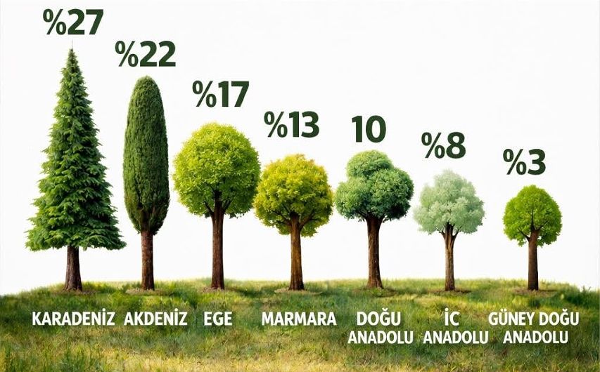 TÜRKİYE’NİN EN YEŞİLİ, KARADENİZ BÖLGESİ